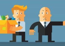 La Nueva Ley de Función Pública: Todo lo que Debes Saber Sobre los Despidos